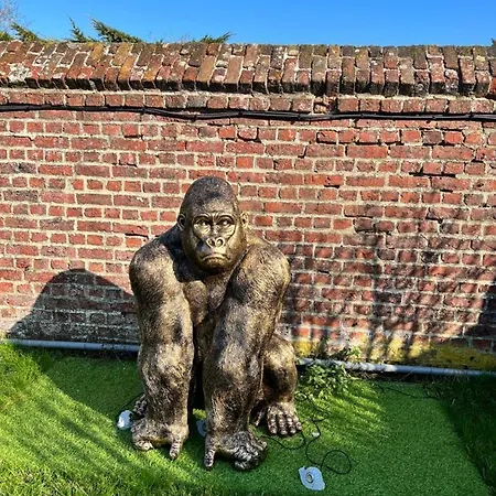 דירה Avec Piscine *