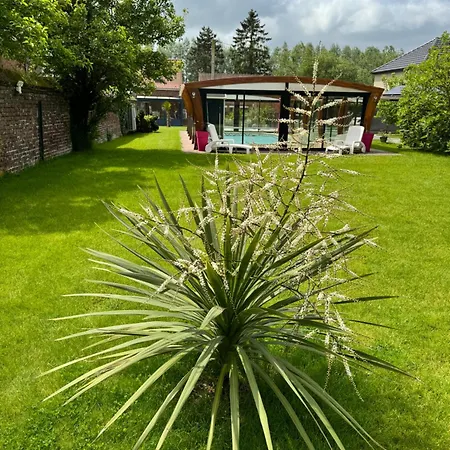Cosy Avec Piscine Chauffee 6 Personnes Lestrem