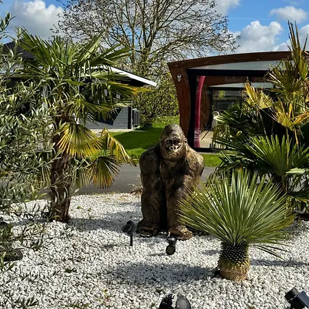 Avec Piscine דירה