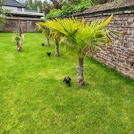 Avec Piscine דירה *